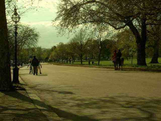 imgp0303.jpg