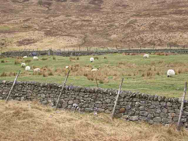 imgp0809.jpg