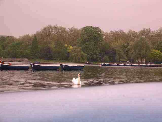 imgp1158.jpg